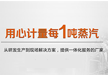 SISEN飽和蒸汽計(jì)量系統(tǒng)在蒸汽領(lǐng)域的應(yīng)用