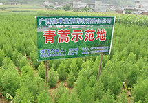 西森蒸汽渦街流量計(jì) 為仙草堂藥業(yè)偉業(yè)添磚蓋瓦