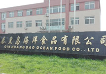 尋尋覓覓蒸汽流量計(jì) 秦皇島海洋食品找到了西森