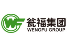 智能電磁流量計(jì)廠家 西森用心打動(dòng)甕福集團(tuán)