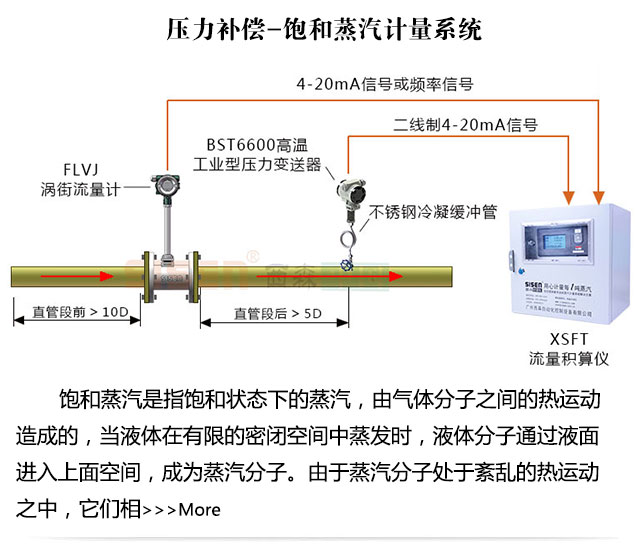 壓力補償蒸汽質量計量系統(tǒng)