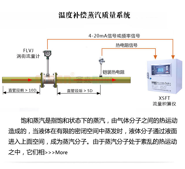 溫度補償蒸汽質量計量系統(tǒng)