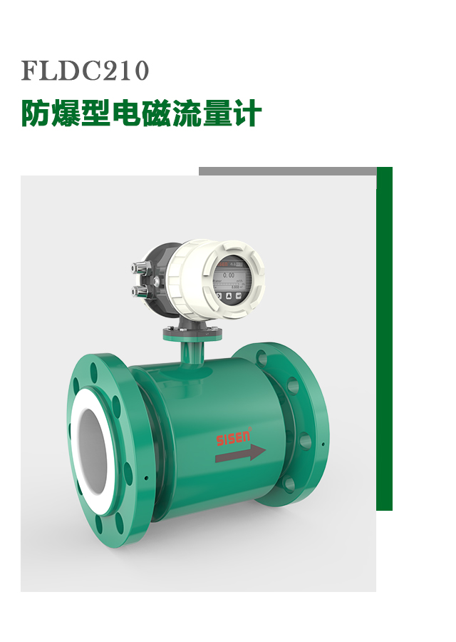 防爆型電磁流量計(jì)
