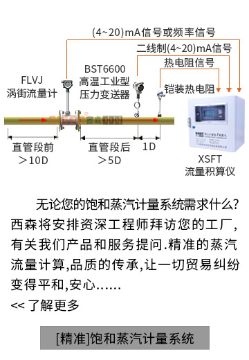 【精準(zhǔn)】飽和蒸汽計(jì)量系統(tǒng)