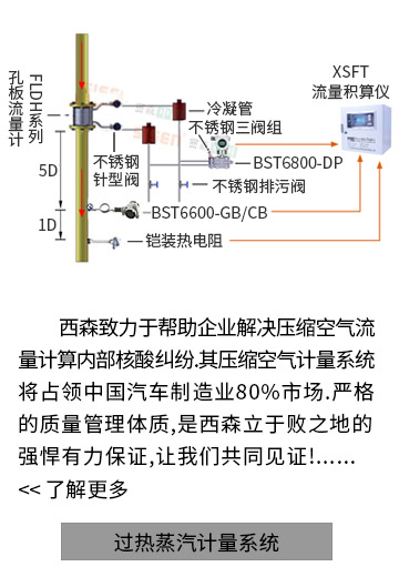 過熱蒸汽計(jì)量系統(tǒng)