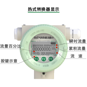 熱式氣體質(zhì)量流量計表頭顯示