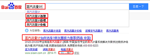 西森蒸汽流量計(jì)