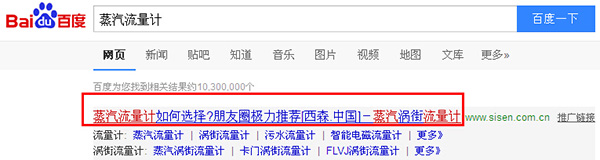 西森蒸汽流量計(jì)