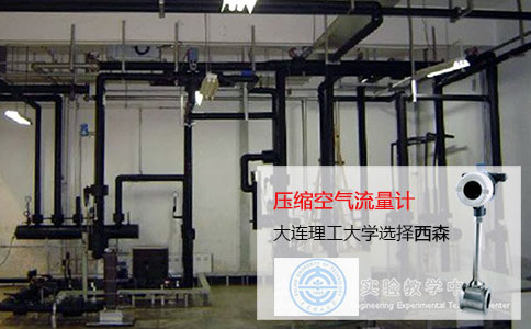 壓縮空氣流量計 大連理工大學(xué)選擇西森