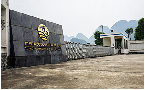 廣西蒸汽流量計-天龍泉酒業(yè)選西森