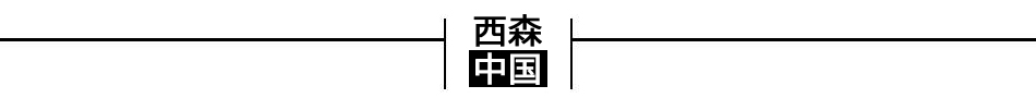 西森中國橫條標題950x90.jpg