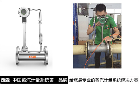中國蒸汽計(jì)量系統(tǒng)第一品牌.jpg