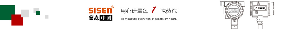 渦街流量計(jì)工藝圖